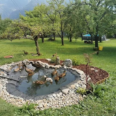 Urlaub Auf Dem Bauernhof *