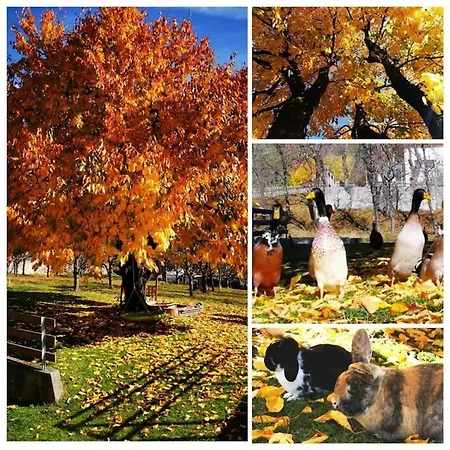 Apartment Urlaub Am Bauernhof Karrosten