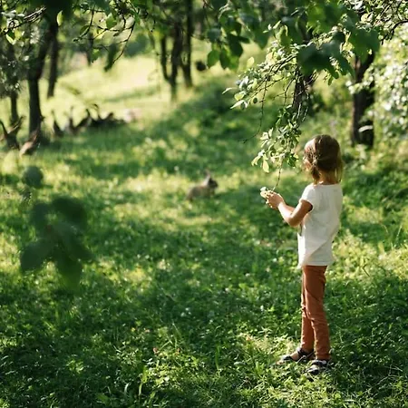 Apartment Urlaub Am Bauernhof