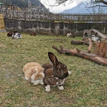 Urlaub Am Bauernhof * Karrösten