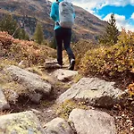 Urlaub Am Bauernhof *
