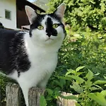 Апартаменты Urlaub Am Bauernhof Karrosten