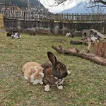 Urlaub Am Bauernhof * Karrosten