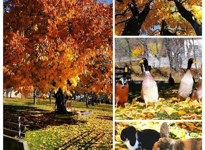 公寓 Urlaub Am Bauernhof Karrösten