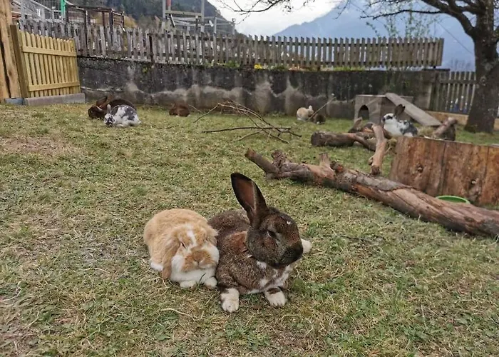 Urlaub Am Bauernhof * Karrösten