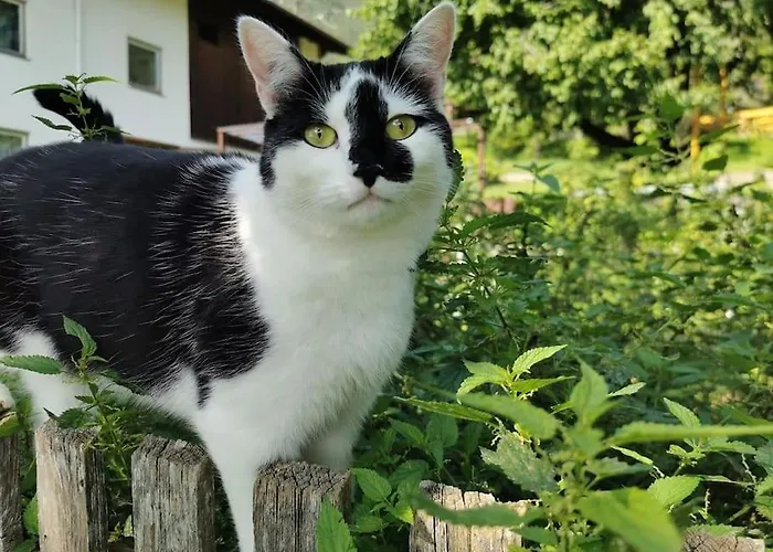 Appartement Urlaub Am Bauernhof Karrösten